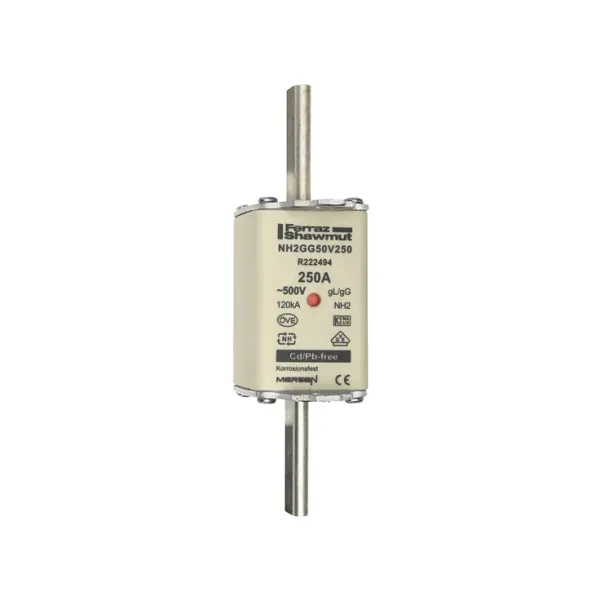 Fuse-link NH2 gG 500VAC 250A live tags Double indicator image 2