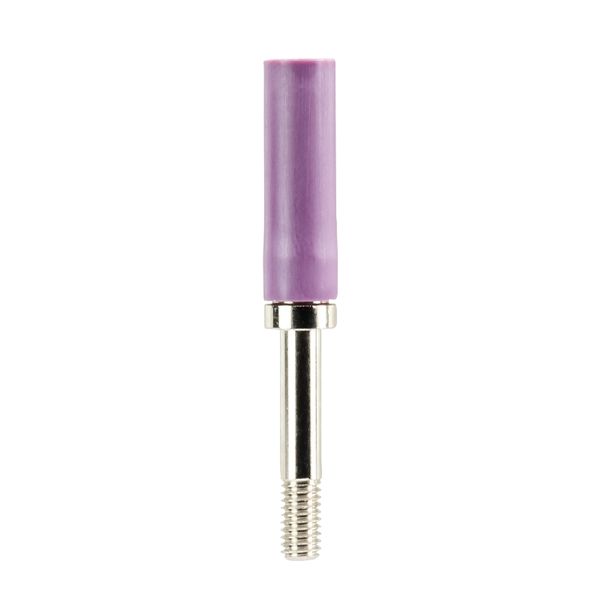 FEMALE PLUG SBN 4 VIOLETT image 1