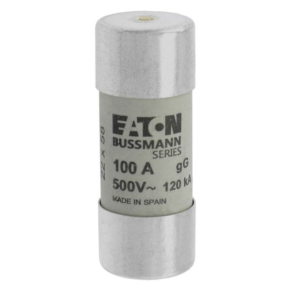 Fuse-link, LV, 100 A, AC 500 V, 22 x 58 mm, gL/gG, IEC, with striker image 21