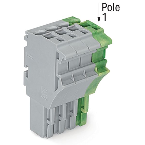 1-conductor female connector Push-in CAGE CLAMP® 4 mm² gray, green-yel image 2