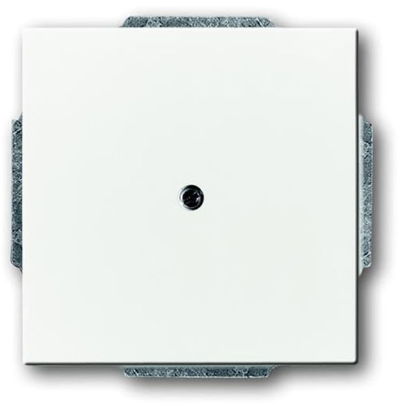 1749-884 CoverPlates (partly incl. Insert) future®, Busch-axcent®, carat® studio white matt image 1