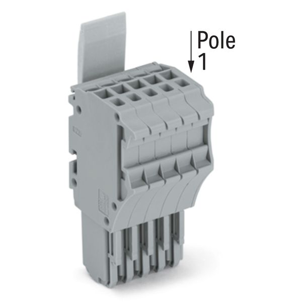 1-conductor female connector Push-in CAGE CLAMP® 1.5 mm² gray image 2