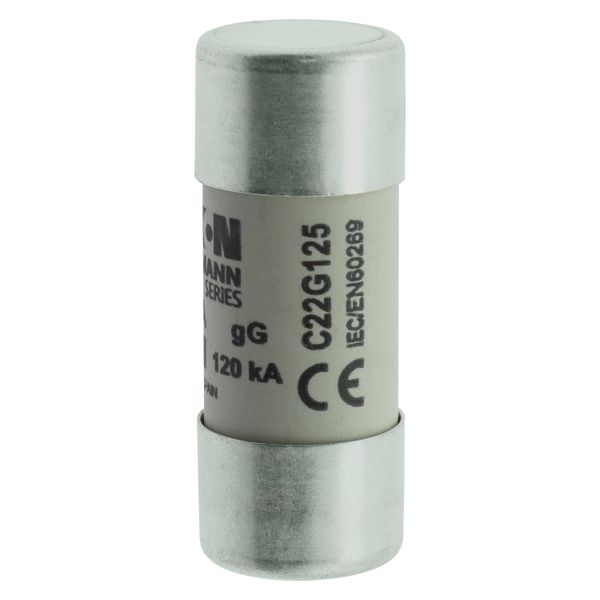 Fuse-link, LV, 125 A, AC 400 V, 22 x 58 mm, gL/gG, IEC image 19