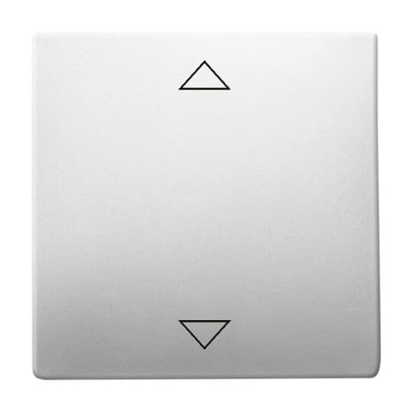 6435-866 CoverPlates (partly incl. Insert) pure stainless steel Stainless steel image 3