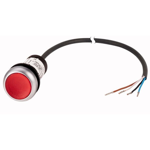 Illuminated pushbutton actuator, Flat, momentary, 1 NC, Cable (black) with non-terminated end, 4 pole, 1 m, LED Red, red, Blank, 24 V AC/DC, Bezel: ti image 1