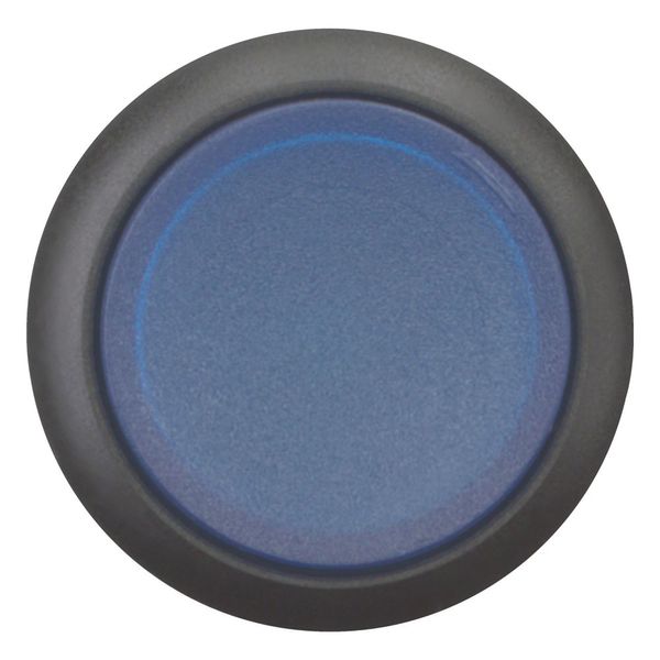 Illuminated pushbutton actuator, RMQ-Titan, Extended, maintained, Blue, Blank, Bezel: black image 10