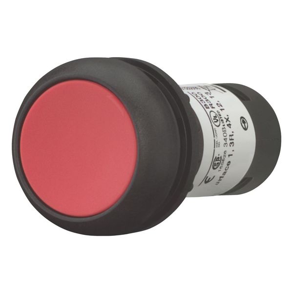 Pushbutton, Flat, momentary, 2 NC, Screw connection, red, Blank, Bezel: black image 5