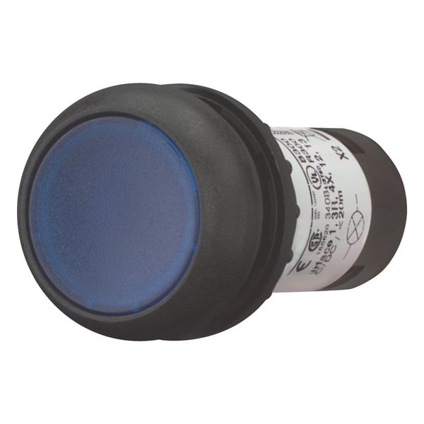 Illuminated pushbutton actuator, Flat, momentary, 1 N/O, Screw connection, LED Blue, Blue, Blank, 24 V AC/DC, Bezel: black image 11