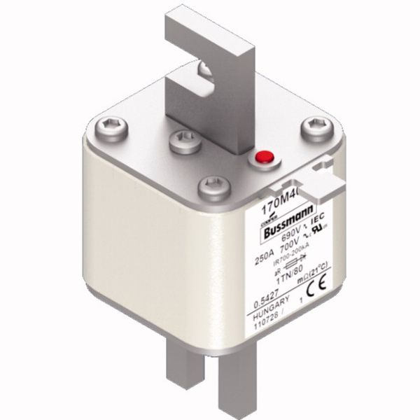 Fuse-link, high speed, 250 A, AC 690 V, DIN 1, 53 x 66 x 108 mm, aR, DIN, IEC, single indicator image 4