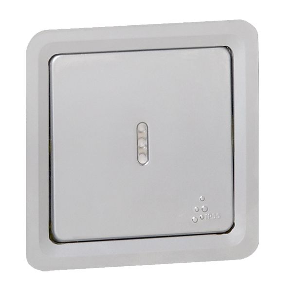 2-way switch Soliroc - with indicator - 10 AX - 250 V~ - IP 55 image 1