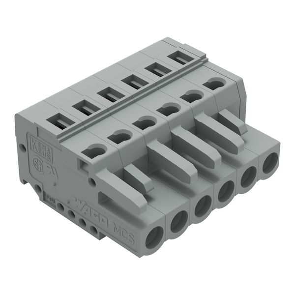 1-conductor female connector CAGE CLAMP® 2.5 mm² gray image 2