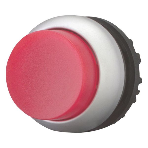 Illuminated pushbutton actuator, RMQ-Titan, Extended, momentary, red, Blank, Bezel: titanium image 6