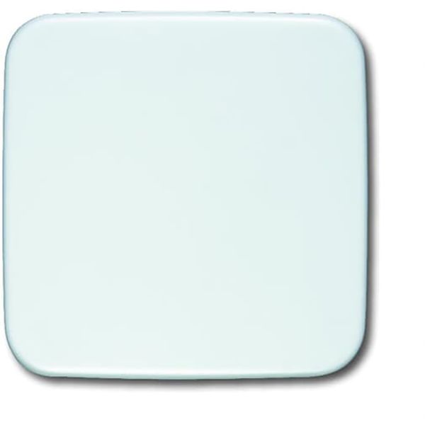 2546-214 CoverPlates (partly incl. Insert) carat® Alpine white image 1