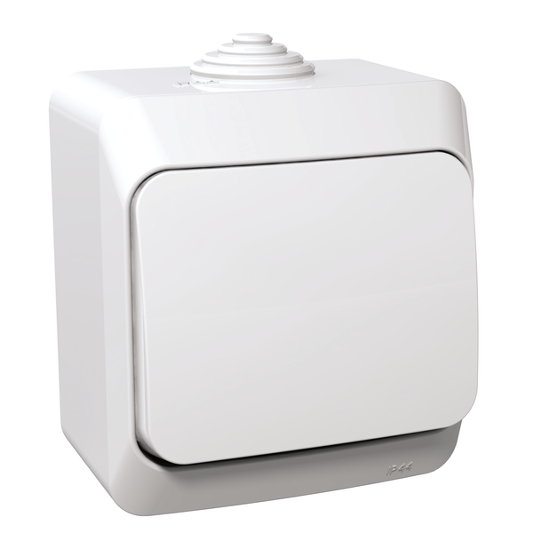 Cedar Plus - 1pole switch - 16AX, white image 4