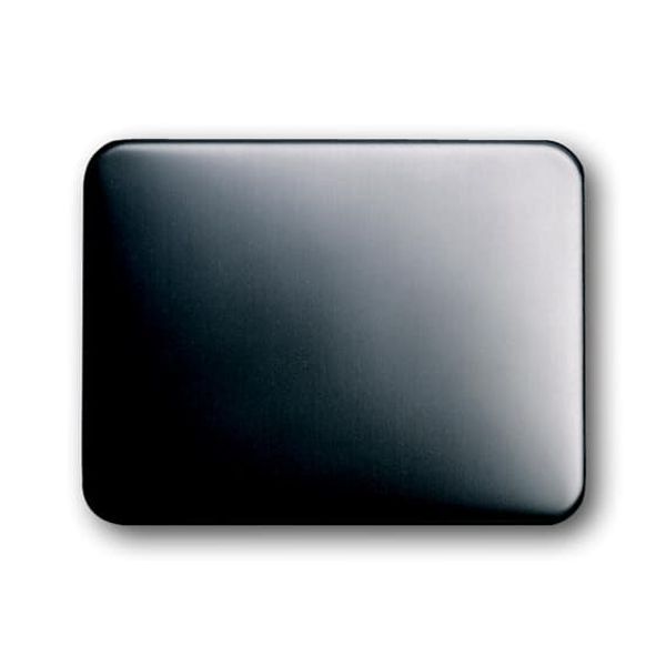 1786-20-500 CoverPlates (partly incl. Insert) carat® Platinum image 1