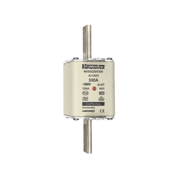 Fuse-link NH3 gG 500VAC 300A live tags Double indicator image 1