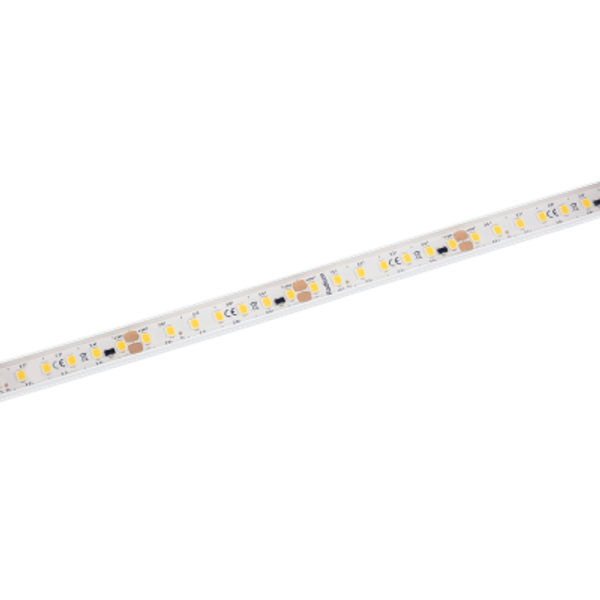 LED Star Strip 1500 Waterproof, LED STRIP 1500 S 827/24V/IP67 30M image 1