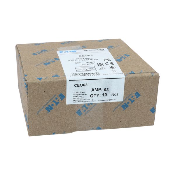 Fuse-link, LV, 63 A, AC 500 V, BS88/A4, 25 x 110 mm, gL/gG, BS image 15