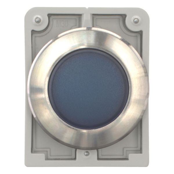 Indicator light, RMQ-Titan, flat, Blue, Front ring stainless steel image 4