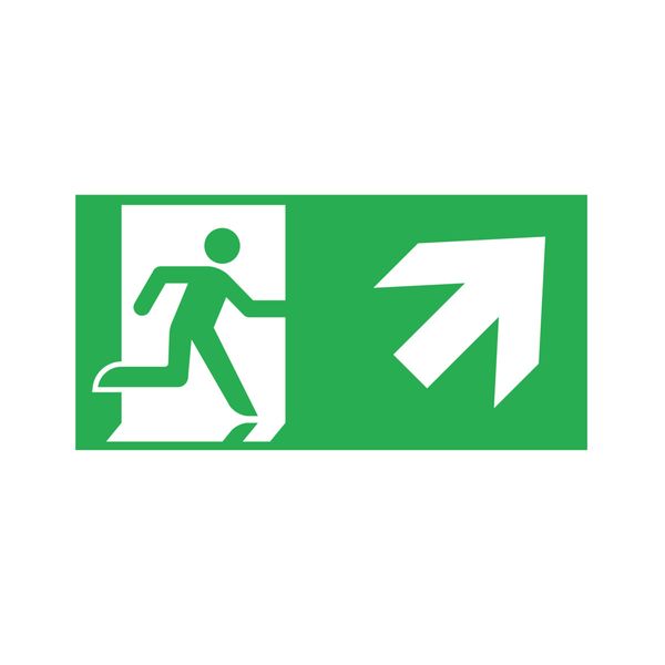 PICTO ONTEC S D1 Exit sign image 1