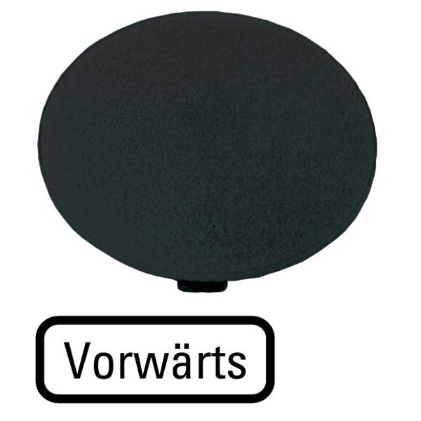 Button plate, mushroom black, FORWARDS image 1