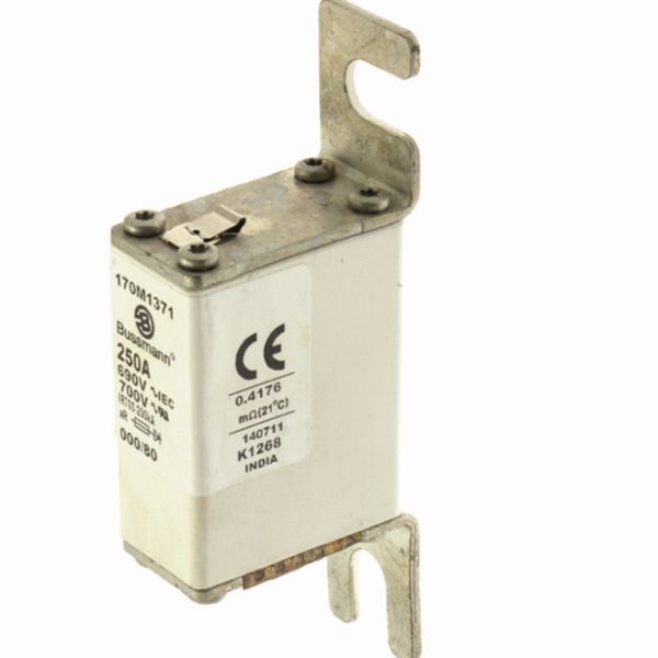 Fuse-link, high speed, 250 A, AC 690 V, DIN 000, 21 x 40 x 100 mm, aR, DIN, IEC, single indicator image 3