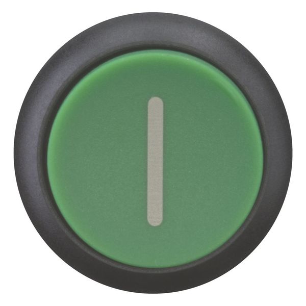 Pushbutton, RMQ-Titan, Extended, momentary, green, inscribed, Bezel: black image 9