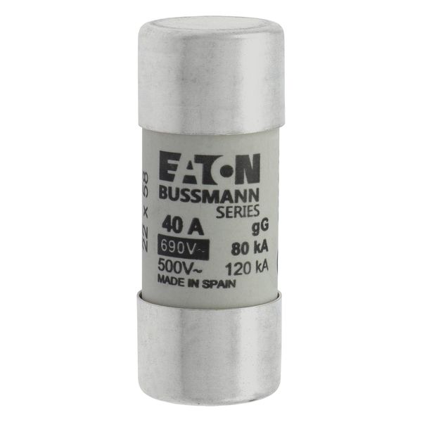 Fuse-link, LV, 40 A, AC 690 V, 22 x 58 mm, gL/gG, IEC image 17