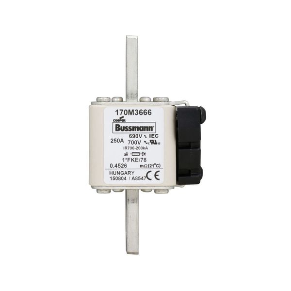 Fuse-link, high speed, 250 A, AC 690 V, compact size 1, 45 x 59 x 110 mm, aR, IEC, UL image 11