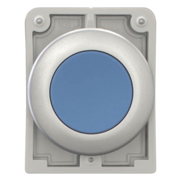 Pushbutton, RMQ-Titan, Flat, momentary, Blue, Blank, Metal bezel image 4