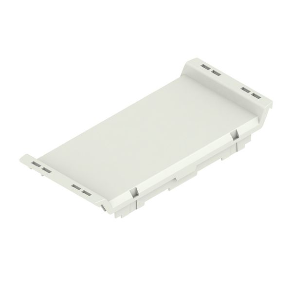 Cover, IP20 in installed state, Plastic, Light Grey, Width: 45 mm image 2