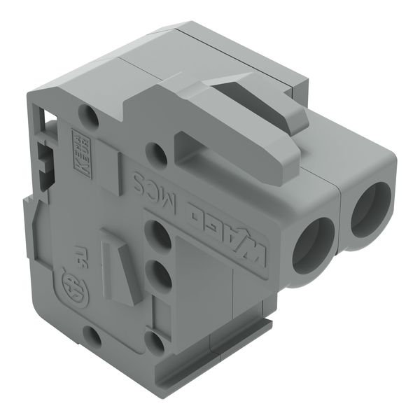 1-conductor female connector, angled CAGE CLAMP® 2.5 mm² gray image 5