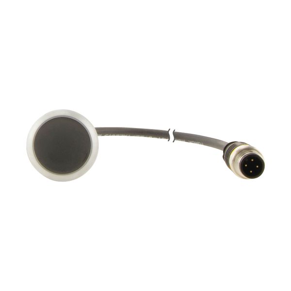 Pushbutton, Flat, momentary, 1 NC, Cable (black) with M12A plug, 4 pole, 0.2 m, black, Blank, Bezel: titanium image 14