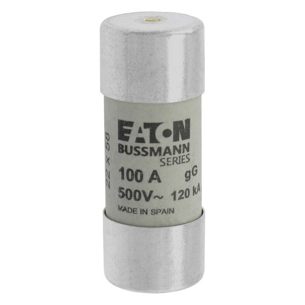 Fuse-link, LV, 100 A, AC 500 V, 22 x 58 mm, gL/gG, IEC, with striker image 22