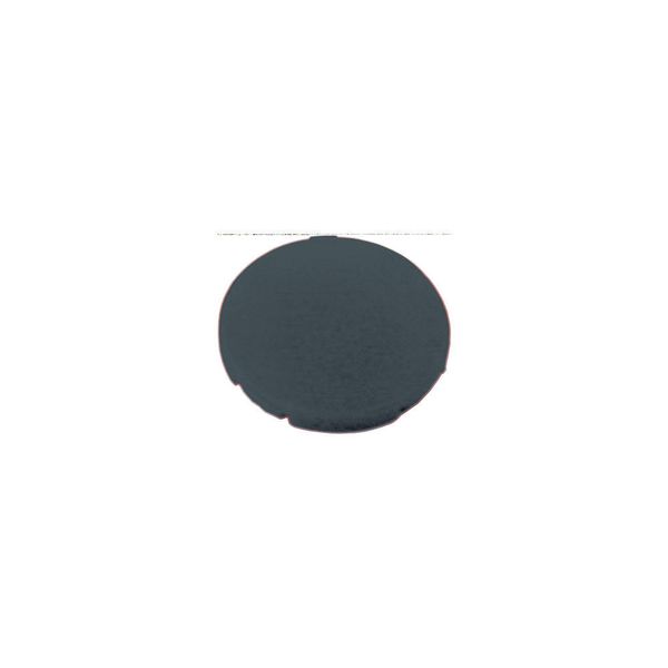 Button plate, flat black, blank image 4