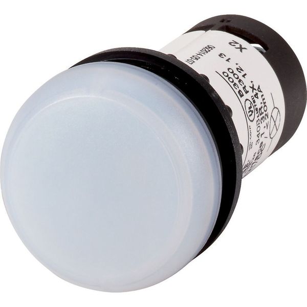 Indicator light, Flat, Screw connection, Lens white, LED white, 24 V AC/DC image 3