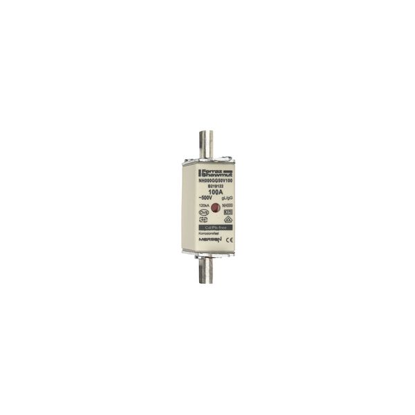 Fuse-link NH000 gG 500VAC 100A live tags Double indicator image 1