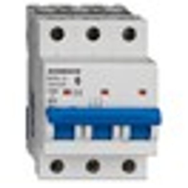 Miniature Circuit Breaker (MCB) AMPARO 10kA, B 50A, 3-pole image 8