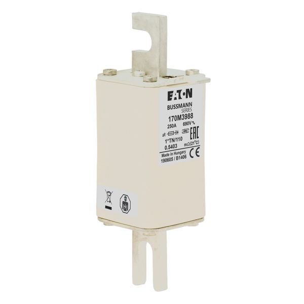 Fuse-link, high speed, 250 A, AC 1000 V, compact DIN 1, 43 x 61 x 138 mm, aR, DIN, IEC, type T indicator image 18