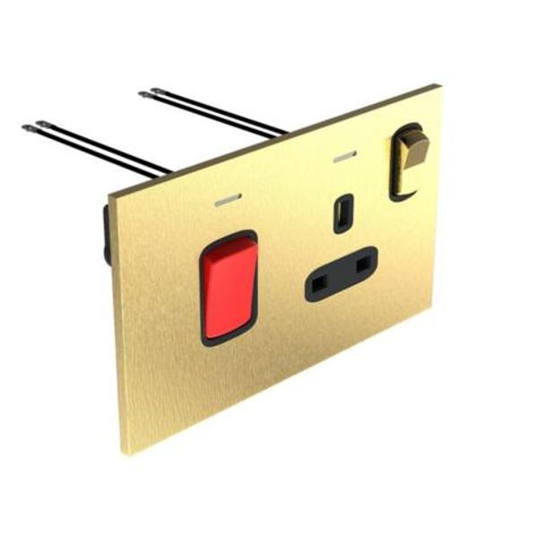 Art d'Arnould - 2 gang cook control unit 45A double pole switch + 13A double pole switch socket W/ power indicator Epure bsd gold image 1