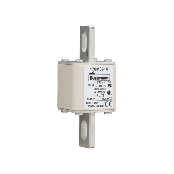 Fuse-link, high speed, 250 A, AC 690 V, compact size 1, 45 x 45 x 110 mm, aR, IEC, UL image 12