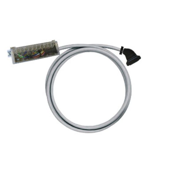 PLC-wire, Digital signals, 20-pole, Cable LiYY, 0.5 m, 0.25 mm² image 1