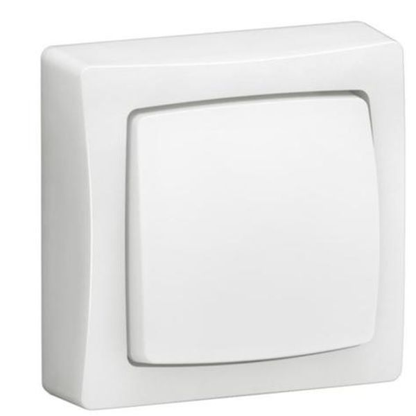 086003L 10AX bipolar switch Switchgear Surface mounted complete with automatic terminals - white image 2