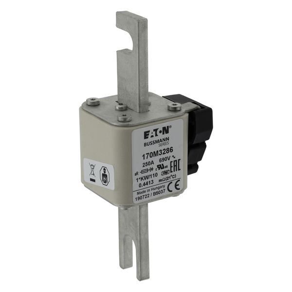 FUSE 250A 690V 1*KW/110 AR. image 17