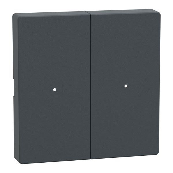 Rockers for 2-gang push-button module, anthracite, System M image 3