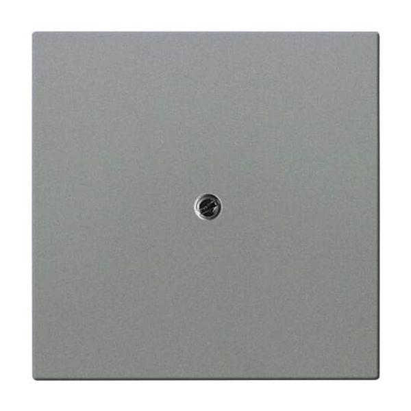 1800-803 CoverPlates (partly incl. Insert) Busch-axcent®, solo® grey metallic image 3