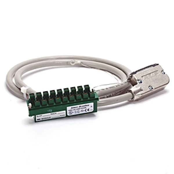 Allen-Bradley 1492-ACAB050EE69 Connection Products, Analog Cable, 5.0 m (16.4 ft), 1769-IF16V & -IF16C image 1