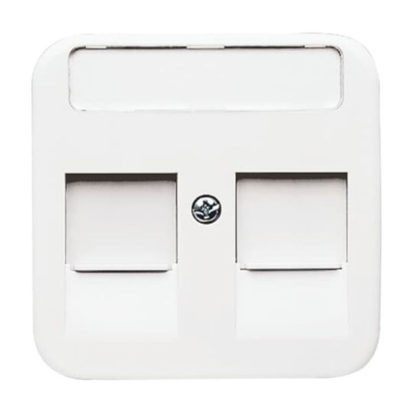 1800-214 CoverPlates (partly incl. Insert) carat® Alpine white image 3