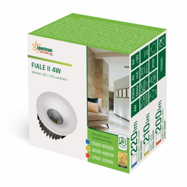 Downlight FIALE II 4W COB 38" 230V ROUND 3000K image 1