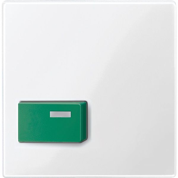 Central plate for stop button, green, polar white glossy, system M image 1